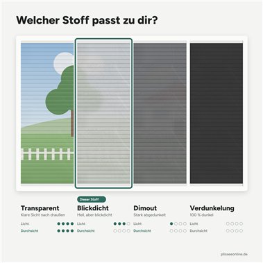 Plissee Novalisse mit Muster in Weiß gemustert Plissee Novalisse mit Muster in Weiß gemustert