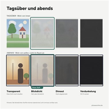 Plissee Novalisse mit Muster in Weiß gemustert Plissee Novalisse mit Muster in Weiß gemustert