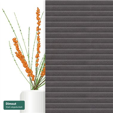Dimout-Plissee Miravelle in Dunkles Taupe